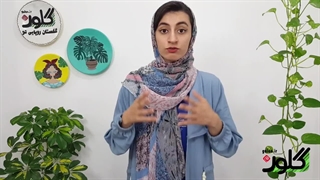 راه پیشگیری و از بین بردن پشه گلدان