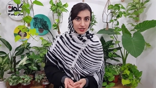 چرا و چطور باید برگ گل و گیاه تمیز کنم؟