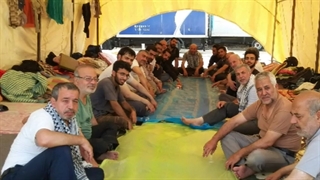 خادمان مسجد حضرت ولیعصر(ع) موکب مقام امام صادق(ع) در کربلای معلا سال 98