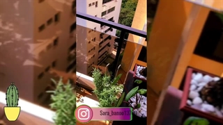 گل کروتون : آنچه که باید راجب گل کروتون بدانید !!