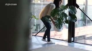 معرفی چند گیاه آپارتمانی ساده و زیبا