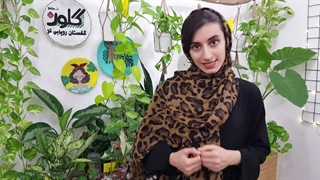 عوامل توقف رشد گل و گیاه آپارتمانی