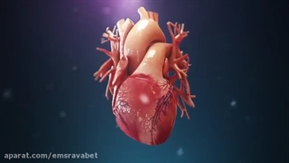 انیمیشن های درس زیست شناسی + 09044686613 تدریس زیست