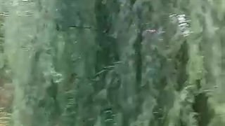 اخلمد