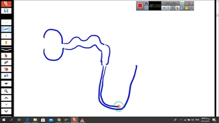 فیلم تدریس مراحل تشکیل ادرار-تخلیه ادرار-گفتار 2 فصل 5-قسمت1 زیست دهم-مهدی محمد حسین زاده