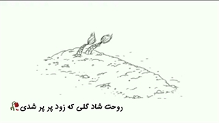 گلی که زود پر پر شدی