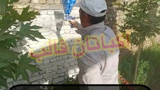 نرمه پاشی بدون سیمانکاری