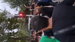 اعتراض؟آره جون عمتون