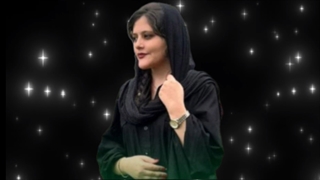 چند روز چیزی نمیزارم