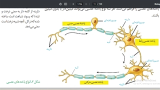 مشاوره آرت اراک -تدریس زیست -گفتار1-زیست یازدهم-جلسه 2