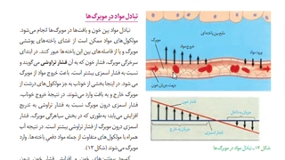 موسسه مشاوره آرت اراک- تدریس مبحث تبادل مواد در مویرگ ها و خیز- بخش اول- امین فراهانی