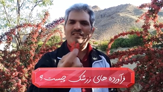 فرآورده های زرشک چیست؟ (نحوه مصرف زرشک)