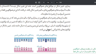 موسسه مشاوره کنکورآرت اراک-تدریس نکات مهم جهش(بخش اول)-امین فراهانی