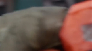 سریال چینی قلب شعله ور قسمت 2 ( The Flaming Heart )