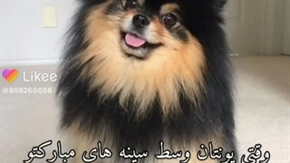 وقتی یونتنوسط سینه های مبارکتو لیس میزنه