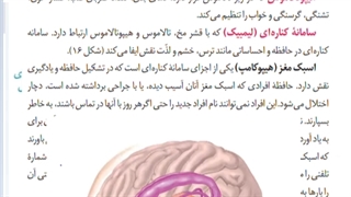 موسسه مشاوره کنکور آرت اراک- جلسه  8 -تدریس زیست یازدهم - فصل 1 -امین فراهانی