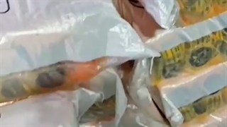 بارآماده ارسال نایلون و نایلکس با چاپ اختصاصی تولید شده در بازکو