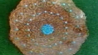 A Slice Of Beautiful Iran Number 9  -  برشی از ایران زیبا شماره ۹