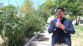 محرم باباحیدر