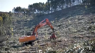 How 1.6 Million Tonnes Of Paper A Year Are Made In Portugal | Big Business