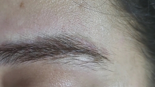 ریموتتو در شمال/رشت