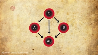 انیمیشن گروه خونی+پکیج ژنتیک با تخفیف فوق العاده! 09044686613