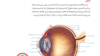 موسسه مشاوره کنکورآرت اراک-تدریس زیست یازدهم-جلسه 17 -فصل 2 (ساختار کره چشم)-امین فراهانی