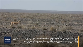 حیات وحش «پارک ملی کویر»