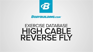 فلای برعکس ایستاده از بالا High Cable Reverse Fly