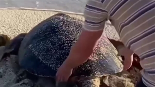 انسانیت...((: