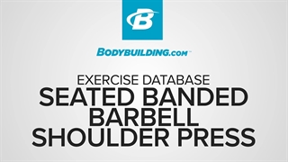 پرس شانه هالتر نشسته با بند Seated Banded Barbell Shoulder Press