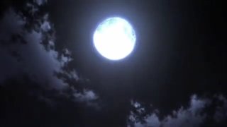 FXCKJAMiE - IN THE BACK (FT. GASHUM) نایتکور