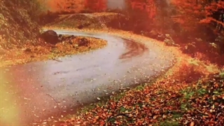 دوباره پاییزه_یوسف زمانی