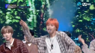 اجرای گروهtempest