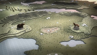 مستند کامل مبارزه گرگ و خرس