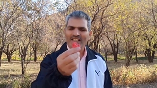 راهنمای خرید زرشک | چطور زرشک مرغوب بخریم؟