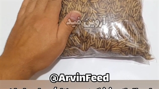 خرید و قیمت لارو خشک مگس سرباز سیاه 1کیلویی