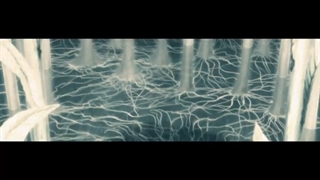 EGOBREAKER - Netflix and Kill [ Anime Edit // AMV ] نایتکور