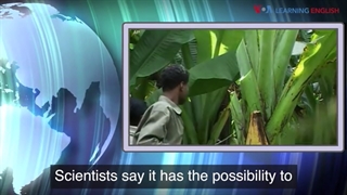 اخبار انگلیسی (33)