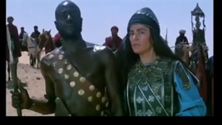 مقایسه مادر امیرالمومنین ع _ و مادر معاویه