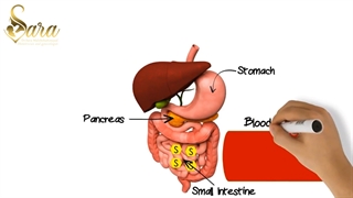 دیابت بارداری چیست؟