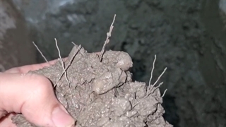 نمایی نزدیک از الیاف ماکروسینتیک پلی تار