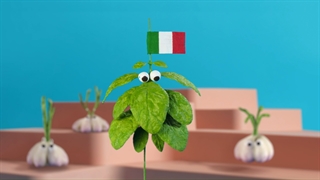 پنیر پستوی کالین، یه طعم جدید و خاص و لذیذ