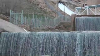 گزیده زیبایی