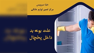 چرا داخل یخچال فریزر بوی بد می دهد