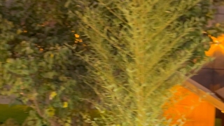 فروش1100متر باغ ویلا مدرن ولوکس