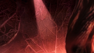 انیمه چینی ..Yi ”اراده ابدی “ فصل دوم قسمت 11 با زیرنویس فارسی