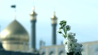 نماهنگ بانوی کرامت به مناسبت ورود حضرت فاطمه معصومه(س) به قم