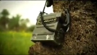 چرا شهدا مشتاق شهادت بودند