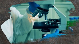 موشن گرافیک عوامل تقویت مرزبانی زیستی